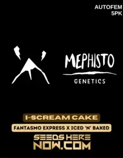 I(space)Scream Cake cannabis seeds by Mephisto Genetics featuring Fantasmo Express and Iced 'n' Baked lineage