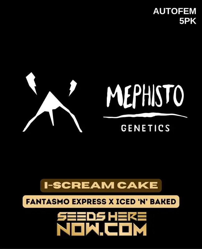 I-Scream Cake cannabis seeds by Mephisto Genetics featuring Fantasmo Express and Iced 'n' Baked lineage