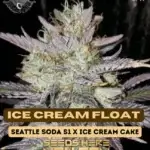 Ice Cream Float (Feminized) - Super Seed Co.