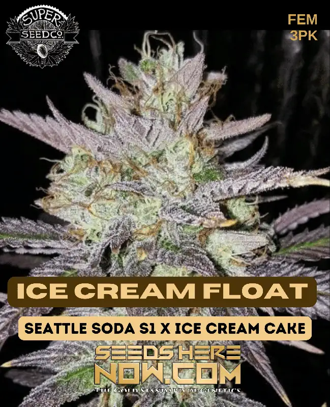 Ice Cream Float Feminized Seeds - Vanilla, Cream, Citrus Flavors