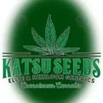 Illuminati Breakfast (Regular) - Katsu Seeds