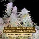 Illuminauto #58  - Funky Mangifera (Autoflower) - Mephisto Genetics