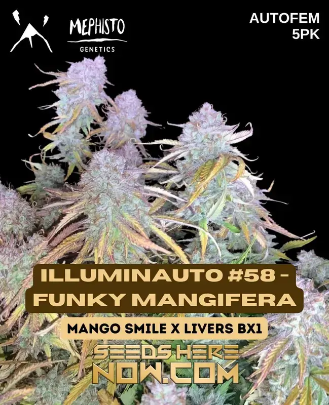Illuminauto #58 - Funky Mangifera Cannabis Seeds - Mephisto Genetics