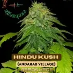 Indian Landrace Exchange - Hindu Kush F4 (Andarab Village) (Regular)