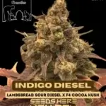 Indigo Diesel (Regular) - Second Generation Genetics