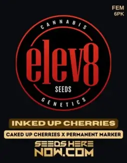 Inked Up Cherries Feminized Seeds (space) High THC, Sweet/Sour/Gas Flavor
