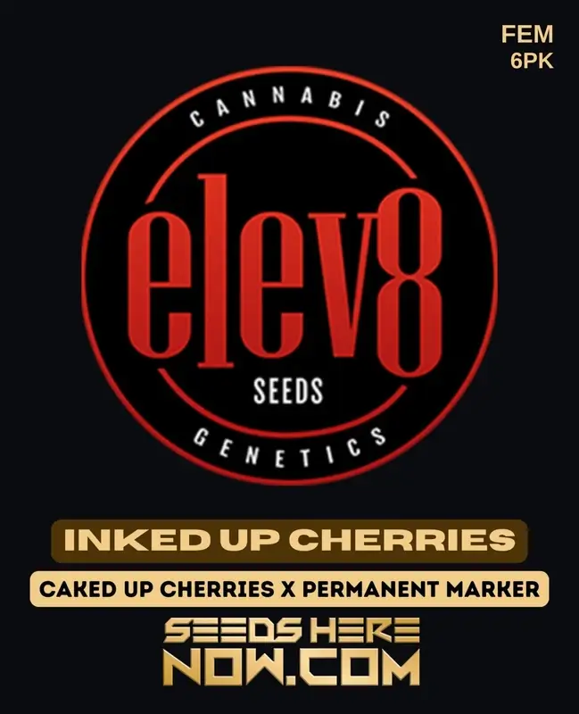 Inked Up Cherries Feminized Seeds - High THC, Sweet/Sour/Gas Flavor