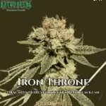 Iron Throne (Feminized) - Katsu Seeds