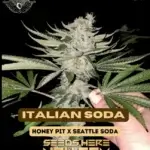 Italian Soda (Feminized) - Super Seed Co.