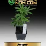 Jager Clones - ACC