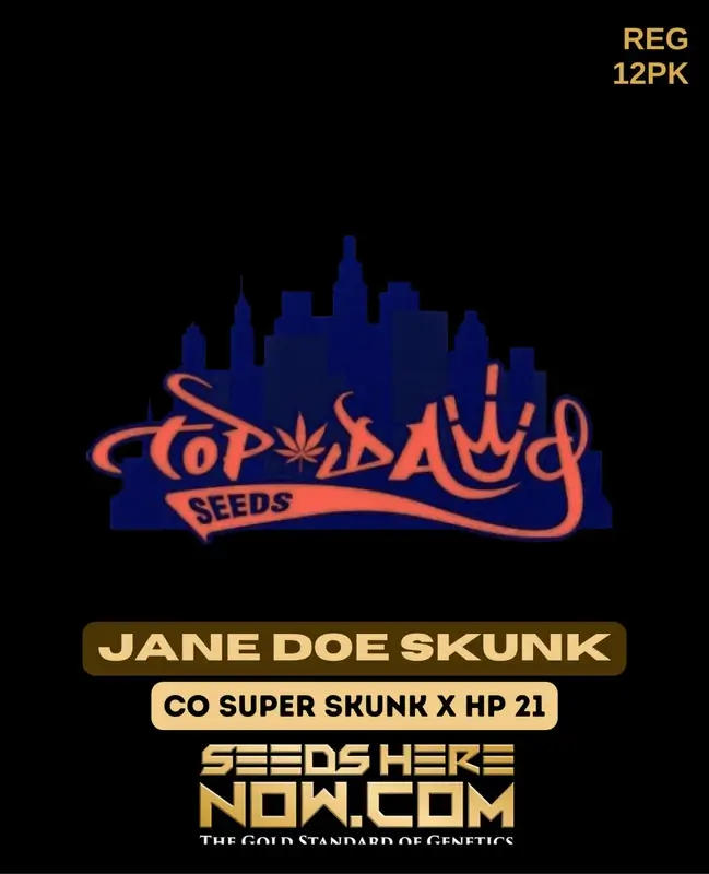 Jane Doe Skunk cannabis seeds by Top Dawg Seeds featuring CO Super Skunk and Hash Plant 21 lineage