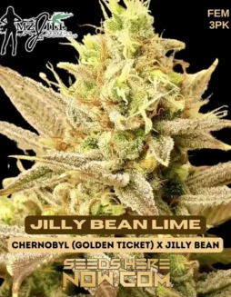 Jilly Bean Lime Feminized Seeds featuring vibrant lime(space)green buds, by Mz Jill Genetics