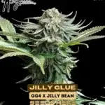 Jilly Glue (Regular) - Mz Jill Genetics