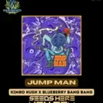 Jump Man (Feminized) - Exotic Genetix