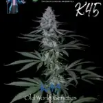 K45 (Regular) - DJ Short Seeds