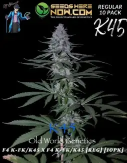 K45 Regular Seeds (space) Sativa Dominant, Blueberry and Floral Aromas