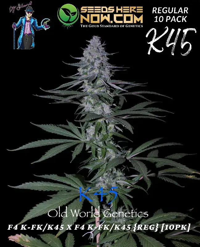 K45 Regular Seeds - Sativa Dominant, Blueberry and Floral Aromas