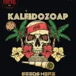 Kaleidozoap (Feminized) - Elev8 Seeds