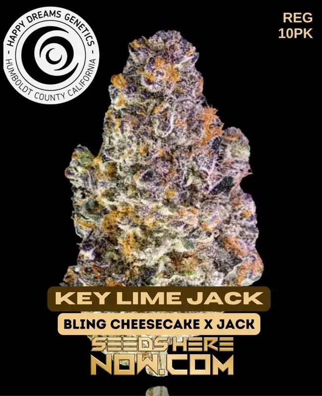 Key Lime Jack regular cannabis seeds by Happy Dreams Genetics, featuring Bling Cheesecake and Jack Herer lineage