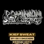 Kief Sweat (Feminized) - Dominion Seed Company