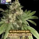 Komorebi (Regular) - Bless Coast Seeds