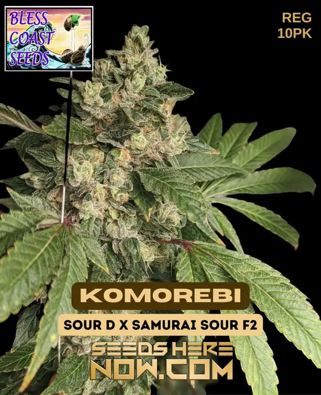 Komorebi Regular Seeds - Sour Diesel x Samurai Sour F2 Hybrid
