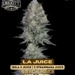 LA Juice (Regular) - Crockett Family Farms