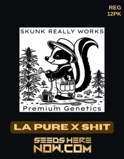 LA Pure Kush crossed with Shit strain, creating Skunk Beer, displayed in natural setting