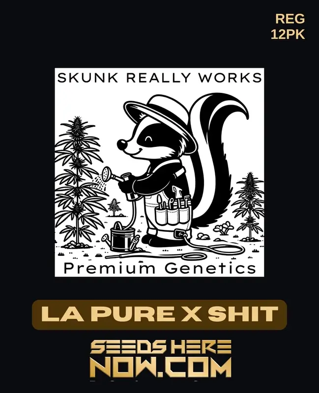 LA Pure Kush crossed with Shit strain, creating Skunk Beer, displayed in natural setting