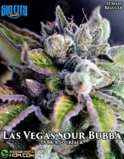 Packaging of Las Vegas Sour Bubba regular seeds by Sin City Seeds, showcasing strain details and effects