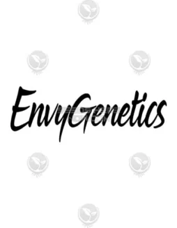 LBZOO Regular Seeds, a hybrid strain by Envy Genetics with Zookies and BlowPops lineage