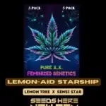 Lemon - Aid Starship (Feminized) - Pure XX