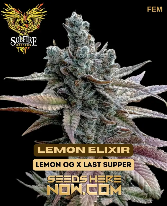 Lemon Elixir Cannabis Seeds - Solfire Gardens - Feminized Strain with Lemon OG and Last Supper Genetics