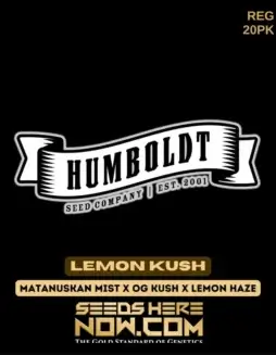 Lemon Kush regular cannabis seeds by Humboldt Seed Company, featuring citrus aroma and sativa dominance