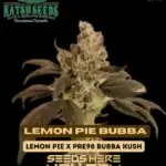 Lemon Pie Bubba (Feminized) - Katsu Seeds