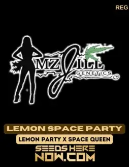 Lemon Space Party Cannabis Seeds (space) Hybrid strain with citrus aroma and balanced effects