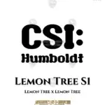 Lemon Tree S1 (Feminized) - CSI Humboldt
