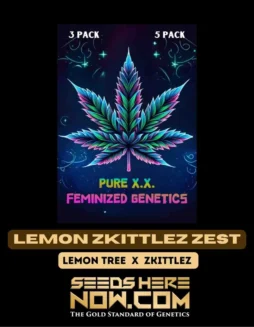 Lemon Zkittlez Zest (Feminized) (space) Pure XXLemon Zkittlez Zest cannabis seeds, feminized by Pure XX, featuring citrus and tropical flavors