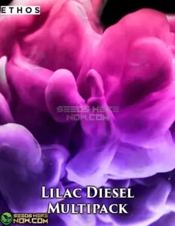 Lilac Diesel #22 Multipack (space) 3 feminized cannabis seeds by Ethos Genetics, featuring Cherry Punch and Lilac Diesel #22 lineage.