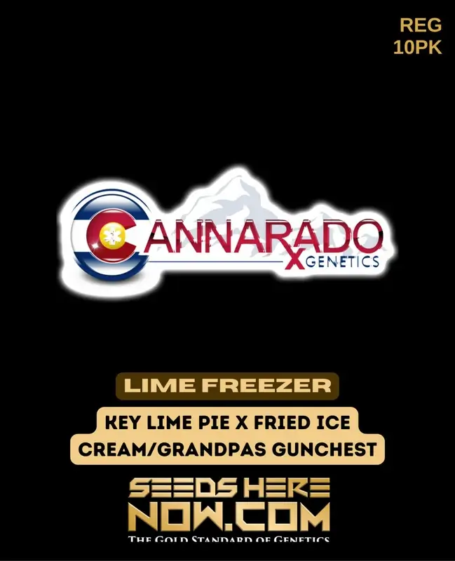 Lime Freezer Regular Seeds - Hybrid cannabis strain combining Key Lime Pie, Fried Ice Cream, and Grandpas Gunchest