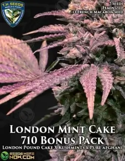 Image of London Mint Cake cannabis seeds package from T.H. Seeds