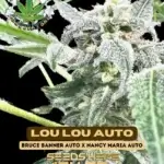 Lou Lou (Autoflower) - Eazy Daze Cultivators