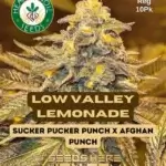 Low Valley Lemonade (Regular) - Heart & Soil Seeds