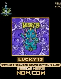 Image of Lucky 13 Feminized Cannabis Seeds packaging