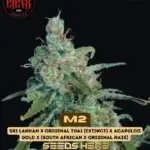 M2 (Regular) - Elev8 Seeds