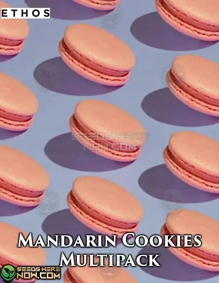 Mandarin Cookies Multipack-3 cannabis seeds by Ethos Genetics, featuring Cherry Punch and Lilac Diesel #22