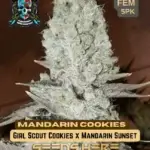 Mandarin Cookies S1 (Feminized) - Elite Clone Seed Company