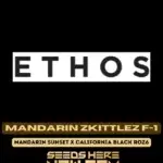 Mandarin Zkittlez F - 1 (Regular) - Ethos Genetics