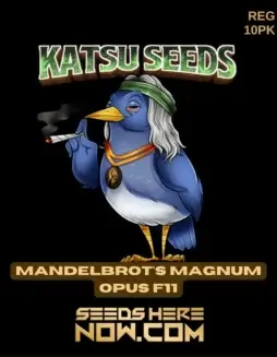 Mandelbrot's Magnum Opus F11 Cannabis Seeds by Katsu Seeds (space) Regular Seed Pack