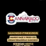 Mango Freezer (Regular) - Cannarado Genetics